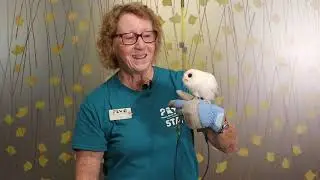 Peace River Wildlife Center
