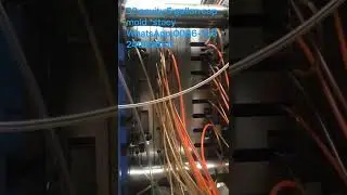 32 cavity 5 gallon cap mold