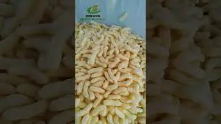 Puffed Corn Rice Stick Screw Extruder Machine Snack Food Corn Puff Making Machine