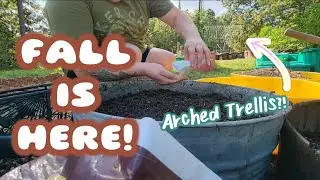 Direct Sowing in FALL! 🍂 Carrots, Kale, & Cattle Panel Trellis -Vlog?