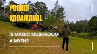 Poondi and Magic Mushrooms | Vlog | #poondi #vlog