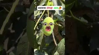 badmash ladka aam khane gaya YouTube #short video viral #comedy video 😂🤣