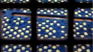 Seed Sorter Chlorophyll