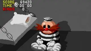 If I Touch a CRIMINAL in Every Sonic Game, The Video Ends