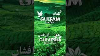 🌹Gulfam & Gulafsha🌹 | Name Meaning Status || Urdu e Hind Official #ytshorts #shorts