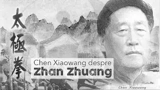 About Zhan Zhuang with Chen Xiaowang