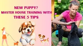 5 Life-Changing Puppy House Training Tips Every Owner Needs! ||veterinary channel