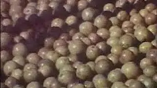 Bottled Sunshine: A Juicy Story (1968)