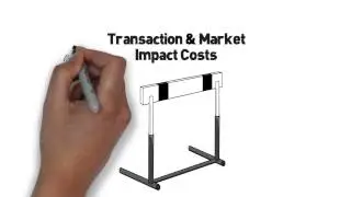 Passive vs. Active Management