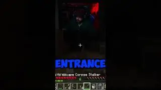 So many emotions in a little time #minecraft #minecraftmods #minecrafthorror