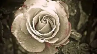 Cecco Feat. Hirbod - Eines Tages ( Dj Crystal Remix)
