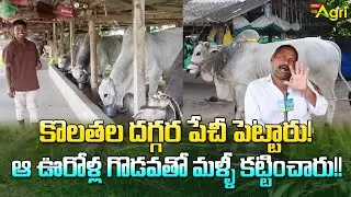 Prathipadu Ongole Bulls | కొలతల దగ్గర పేచీ పెట్టారు..! ఆ ఊరోళ్ల గొడవతో మళ్ళీ కట్టించారు..! Tone Agri