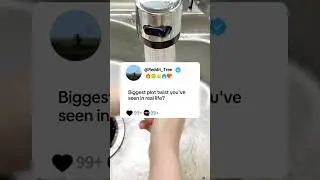 Biggest plot twist you've seen in real life?#storytime #reddit#story