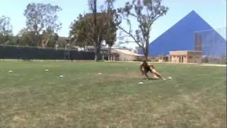 Pro Agility II: The 20-Yard Shuttle