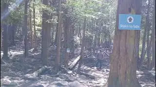 Hilton Falls Conservation Area, Places to Visit and Hike in Ontario, Toronto, Best Water Falls