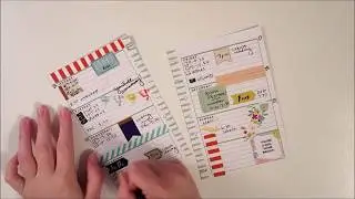 Mini Happy Planner Plan with Me // Using Old Target Dollar Spot Stickers