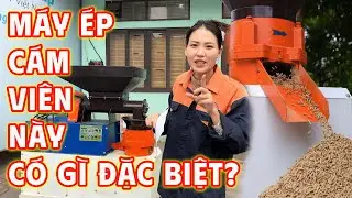 BÀN GIAO Máy Ép Cám Viên S250 - 4 Lô Liên Hoàn Có Gì Đặc Biệt? Bình Quân