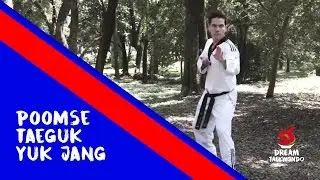 Movimento Faixa Ponta Vermelha - Taeguk Yuk Jang