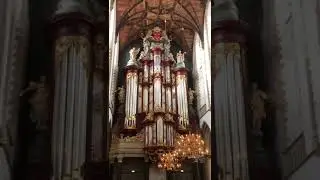 22-10-2022, Haarlem, Sint Bavo, Variatie Psalm 42 en Zegen ons Algoede