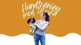 3 övningar som minskar frustration och gnäll hos din hund