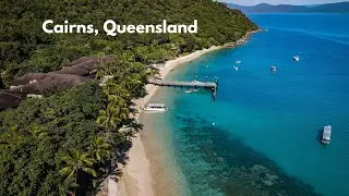 Exploring Cairns: From Rainforest to Reef