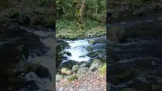 🏔  Small waterfall!! #shorts #canada #hiking