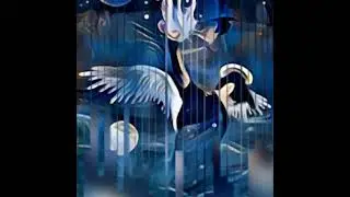 Creating a Teal Organization