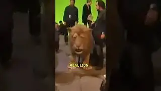 Was Aslan better than the Lion King?