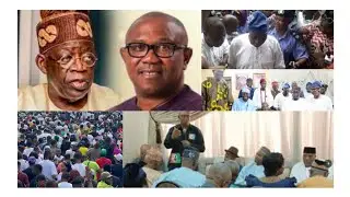 Peter Obi, Bola Tinubu Struggle For D Soul Of Southwest. Top Yoruba Groups, Elders Take Their Stand
