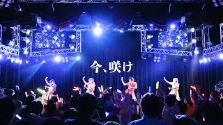 レッスントゥミー / 今、咲け 【Official Live Video】