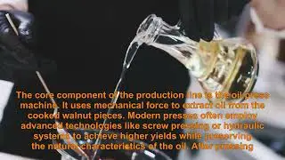 Walnut oil pressing equipment complete production line equipment composition