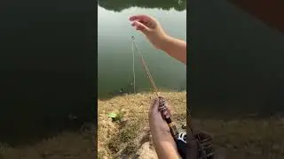Best lucky fishing rod