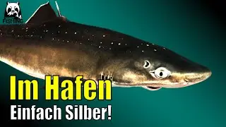 Russian Fishing 4 - Nordmeer - Ganz einfach! Silber im Hafen! Dornhai, Steinbutt, Kliesche #rf4