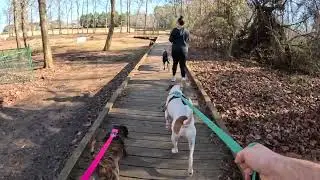 A day in the park ￼