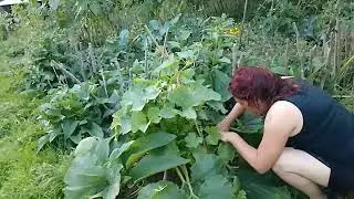 Erntetag August 2023 Teil2