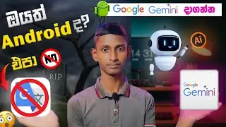 Google Translate ට සමුදෙන්න Google Gemini AI දාගන්න 🚀| Sinhala