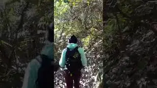 Mini hiking vlog⛰️ #fun #hiking #explore #adventure #nature #mountains #northcarolina #wnc #shorts