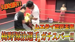 【RIZIN】ムエタイ世界王者とガチスパーしてみた【梅野源治】
