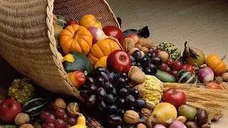 Nigerian entrepreneur blazing a trail in agribusiness