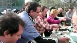 CAL&Ccedil;OTADA DE LOS SETEROS