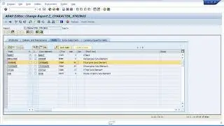 17 SAP ABAP Training   Character Strings   Declaring C and N fields
