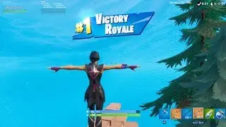 FORTNITE First Win with 