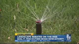 Water Smart landscapes rebate rises.