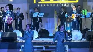 El vato gacho - en vivo 