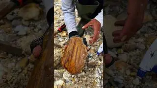 😱😱😱..‼️ Fantastic &euro;999,9 Gemstone Discovery Is Very Extraordinary #fantastic #gemstone #discovery