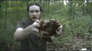 How to Make a Wet Conditions Leaf Tinder Bundle