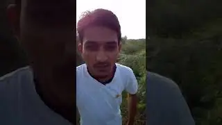 Song