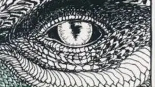 The Dragon - 'Wild Unknown Animal Spirit' Oracle Deck