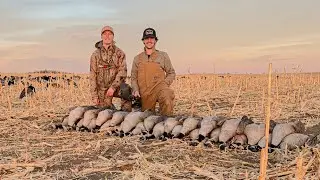 North Dakota Goose Hunting 2020 (GIANT FEED)