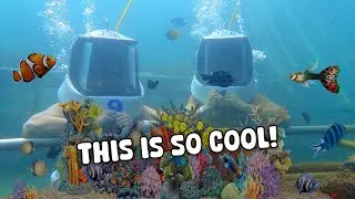 Sea Walking in Kota Kinabalu, Malaysia 🐠 | Vlog #1813